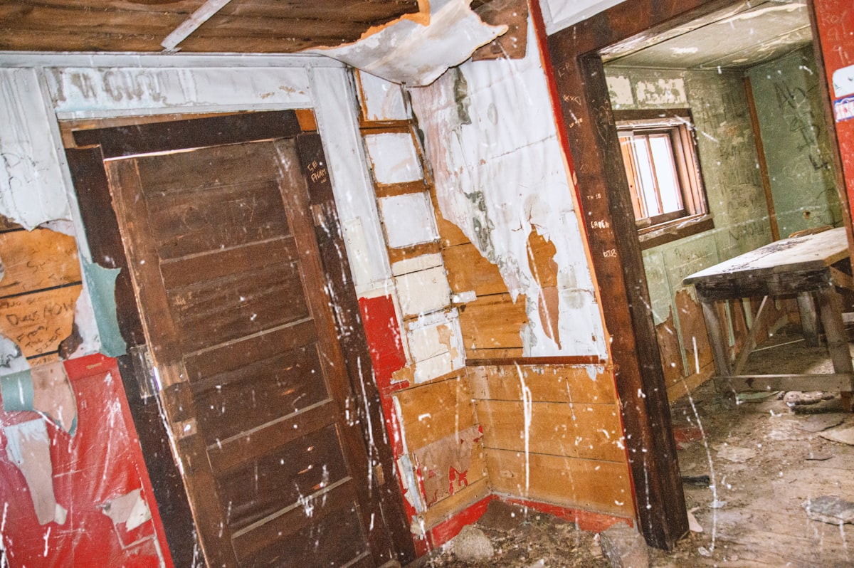 Mold Remediation service in Springfield, IL