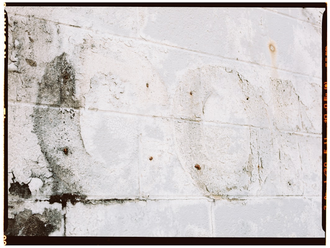 Basement Water Removal service in Springfield, IL