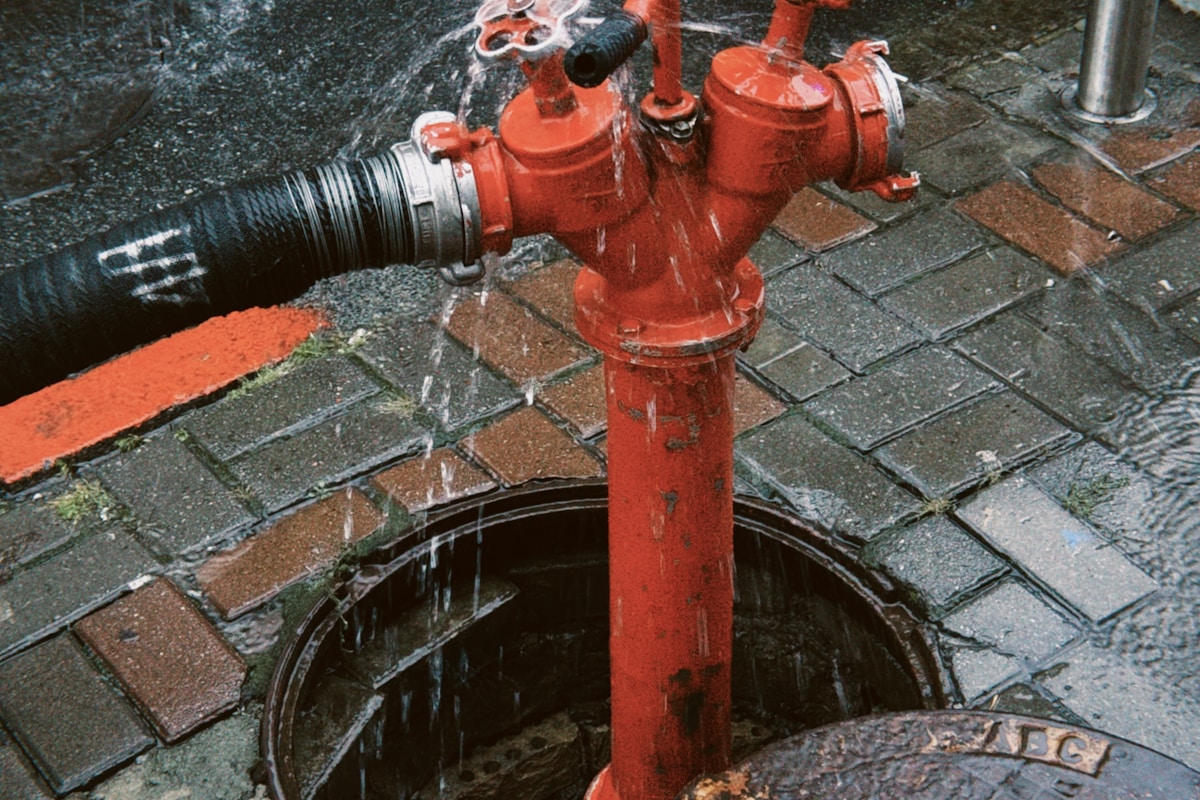 Storm Damage Repair service in Springfield, IL